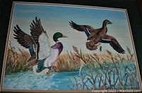 Oil painting of two mallard ducks flying over a pond with vegetation background, signed by Merle Zavitz.
