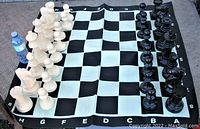 Full display of black and white pieces arranged on vinyl board with water bottle for scale.