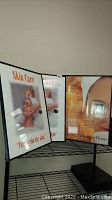 Three framed hanging skin care images on a metal rack, showing photos of a person receiving a facial treatment.