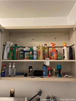Overview of cleaning supplies inside cabinet on two shelves showing various bottles and containers