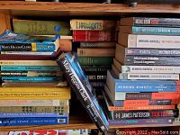 Photo showing a collection of 27 assorted books, mostly mystery and crime novels by authors including Henning Mankell, Michael Dibdin, James Patterson, Mary Higgins Clark, Louise Penny.