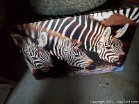 Photo of the rectangular photograph showing three zebras with distinct black and white stripes drinking from a water source, resting on the floor.