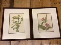 Two framed botanical prints by Mary Vaux Wolcott, displayed side by side on wooden floor.