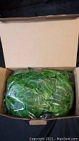 Green artificial vine leaves packed in plastic inside a cardboard box.