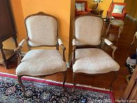 Two matching chairs full front view on rug