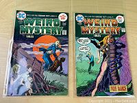 Photo showing front covers of Weird Mystery Tales issues #16 and #19, featuring artwork of mysterious and eerie scenes with characters confronting fearsome creatures.