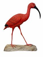 Side view of Bob Lee scarlet ibis bird decoy showing vibrant red body, black beak and wooden base.