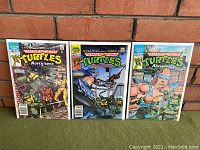 Photo showing all three Teenage Mutant Ninja Turtles comic book issues in clear protective sleeves, displayed side by side against a brick wall background.