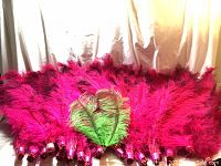 Lot of over 350 hot pink ostrich feathers and 2 green ostrich feathers displayed fanned out on light background.