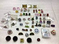 Wide overhead view showing a variety of enamel pins including transit logos, animal shapes, Olympic and pride themed pins, and Canadian flag motifs.