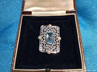 Brooch displayed in original presentation box on black velvet