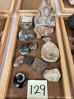 Full tray of mineral rock samples and fossil ammonite specimen