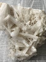Close-up photo of natural apophyllite crystal cluster showing fibrous, prismatic, translucent white crystals clustered densely on a light stone matrix.