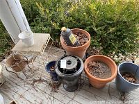 Photo shows planter pots including terracotta, black urn style ceramic, blue ceramic, and small white pot on and next to two ornate metal plant stands outside on wood floor with shrub background. Pots contain dried leaves and soil.