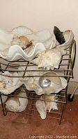 Metal wire-frame stand containing various large and small seashells placed on its three shelves.