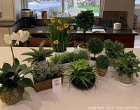 Photo showing all faux plants together on white kitchen island including orchids, topiary trees, yellow flowers, and succulents.