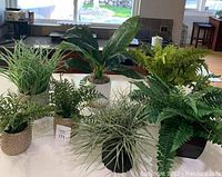 Overview of six faux plants on a white surface showing variety in size, type, and pots.