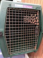 Front view of the green plastic crate showing metal wire door with latch.