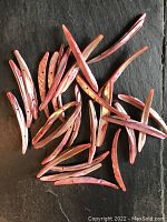 Multiple dyed pink mother of pearl twig-shaped pieces arranged on a black surface showing shape, size, and double holes for jewelry making.