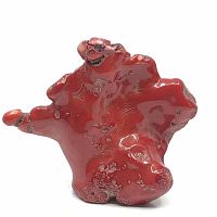 Front view of the glossy red natural bamboo coral branch showing texture details and shape.