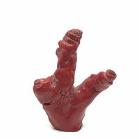 Front view of large coral branch showing three prominent arms with segmented tube-like ends and smooth red surface.