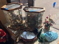 Two octagonal bird dioramas side by side with mirror, peacock figurine, and parakeet sculpture on shelf