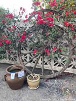 Large vintage wooden wagon wheel and two ceramic garden pots placed outside near a flower bush and concrete wall.