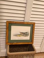 Full view of framed Audubon print showing the bird and frame.
