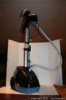 Front view of the Rowenta Master 360 vertical clothes steamer showing the steam nozzle, hose, and telescoping pole with a metal base unit on wheels.