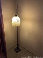 Full view of lit floor lamp showing metal base, adjustable pole, and fringed shade