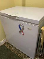 Front and side view of white Woods chest style freezer showing rectangular sticker and brand badge on front.