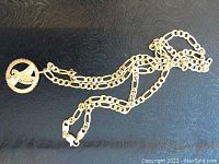 Full view of chain and pendant laid out side by side