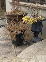 Three resin patio planters with dried plants and soil, showing details and scale.