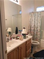 Bathroom items including shower curtain, decorative shells, lamps, and other decor on a vanity and around a toilet.