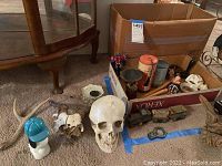 Wide shot showing assortment of vintage toys, skulls, antlers, and bottles arranged on floor and in boxes.