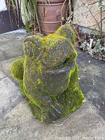 Front view of concrete frog statue with moss growth