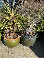 Two outdoor ceramic planters with plants and two black metal solar lights located in each planter. Both planters show weathering.