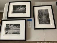 Three framed prints displayed on tabletop