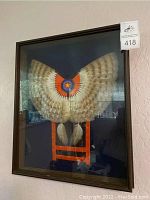 Frontal view of entire shadow box showing feathered headdress mounted inside a dark wood frame with glass front.