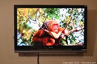 Front view of 46-inch Sony TV mounted on wall showing image on screen