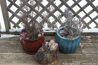 Two ceramic planters and a wood stump planter placed on a wooden surface outside, showing dried plants inside both ceramic planters and decorative stones in the wood stump planter.