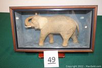 Front view of a solid paper elephant inside a wood and glass rectangular display case with a green cloth backdrop.
