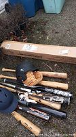 Overview of helmets, bats, glove, net box on ground
