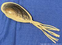 Top view of the natural shell rattle showing the shell's convex surface and beige suede tassels attached to the base.