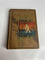 Front cover of the book showing embossed gold title and color illustration of a man outdoors.