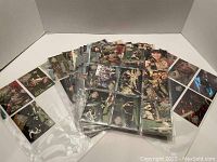 Complete collection of 2002 The Crocodile Hunter trading cards numbered 1 to 72 laid out and grouped in protective sleeves, showcasing various images of Steve Irwin and wildlife.