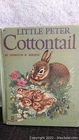 Front cover of Little Peter Cottontail children's book showing a brown rabbit and six baby rabbits with flora