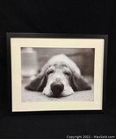 Front view of the framed black and white Basset Hound print showing the full image and frame against a black background.