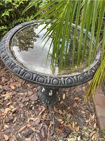Bird bath basin with water and surrounding leaves and plants