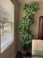 Full view of the tall faux ficus plant with green and white variegated leaves in a decorative blue and white ceramic pot, positioned near a window.